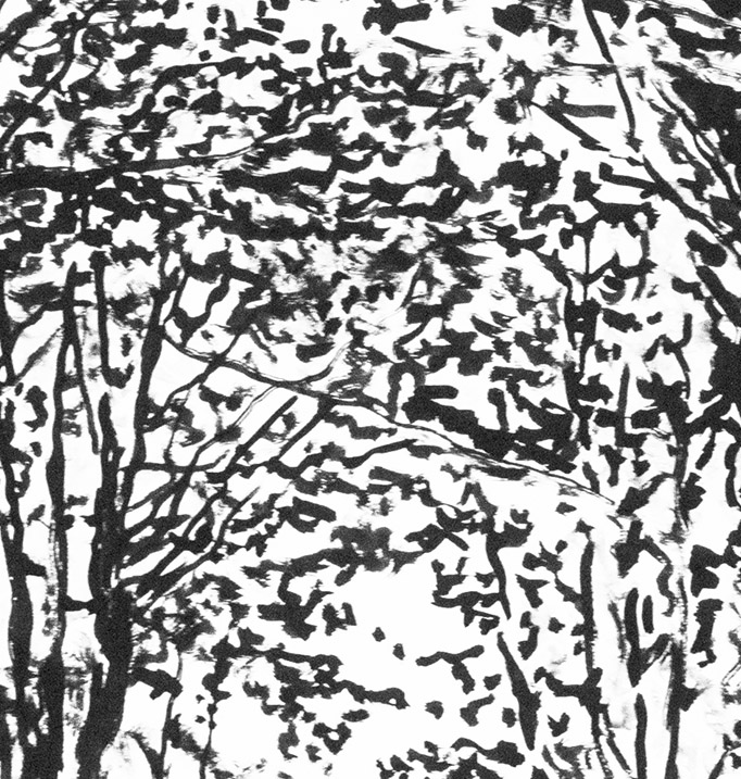 Titel: Wald, Öl auf Leinwand 2009, Zeichnung, Landschaft, Wald, Tusche, Papier